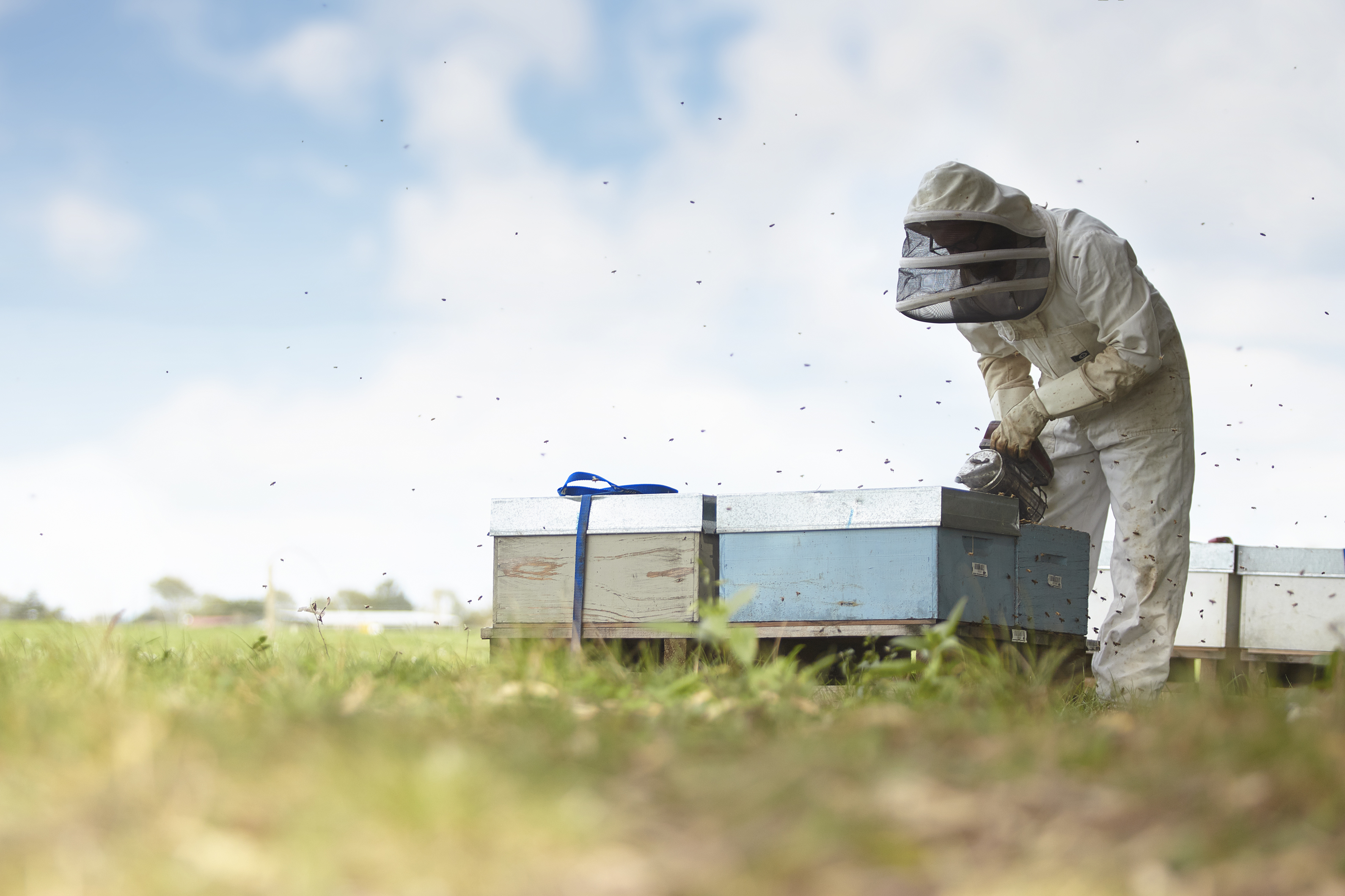 Honey Testing - our industry-leading turnaround times